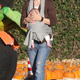 Image for article titled Celebrities Love L.A. Pumpkin Patch, Paparazzi Be Damned